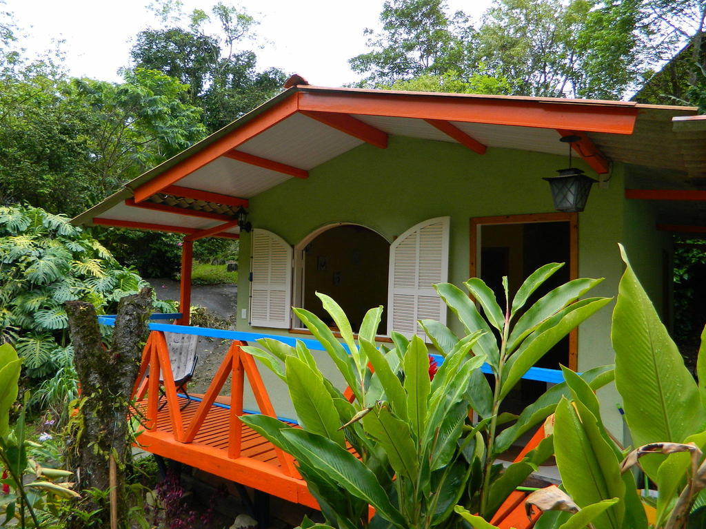 Bicho Do Mato Suites Guapimirim Exterior foto